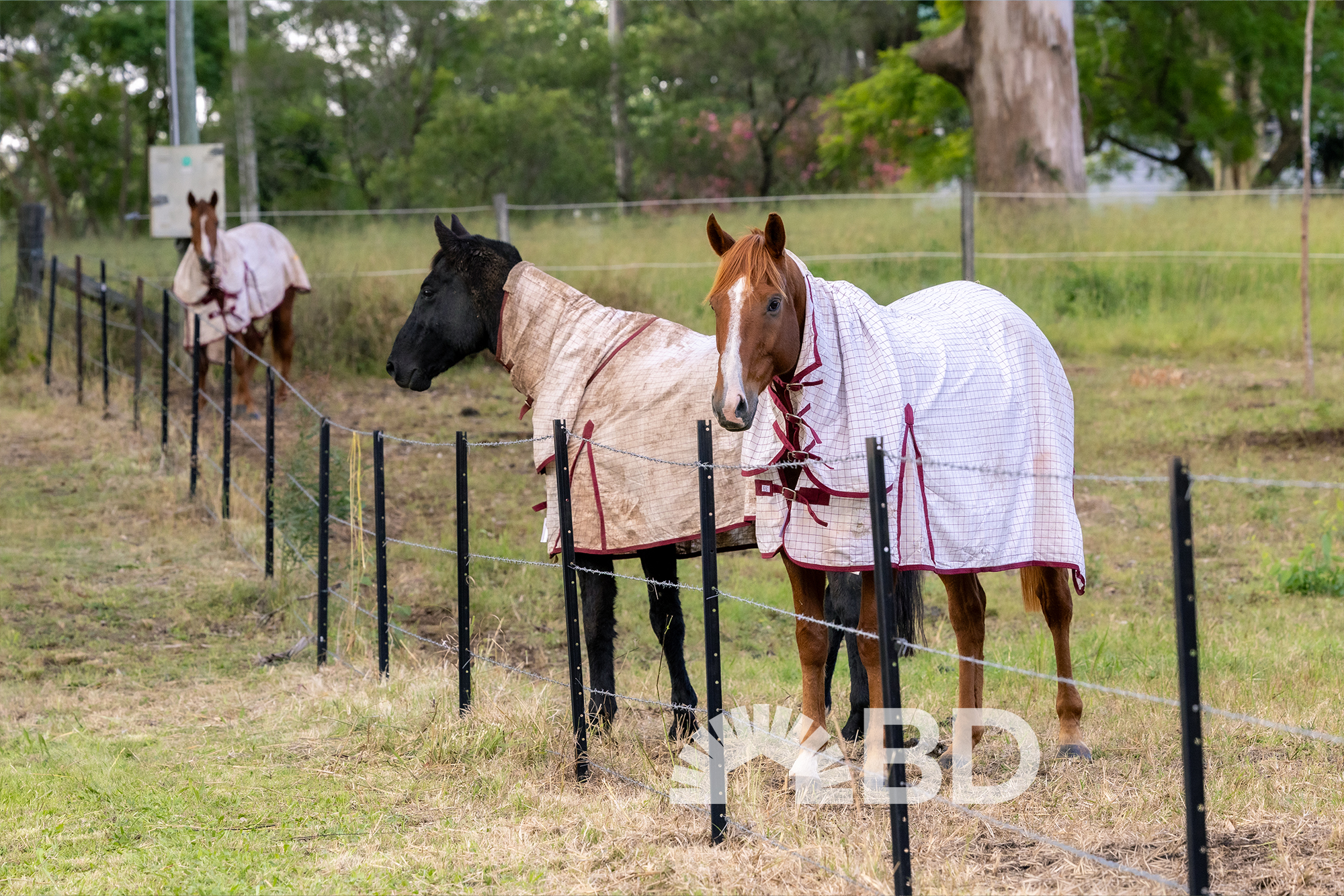 464 Mount Kilcoy Road, Mount Kilcoy QLD