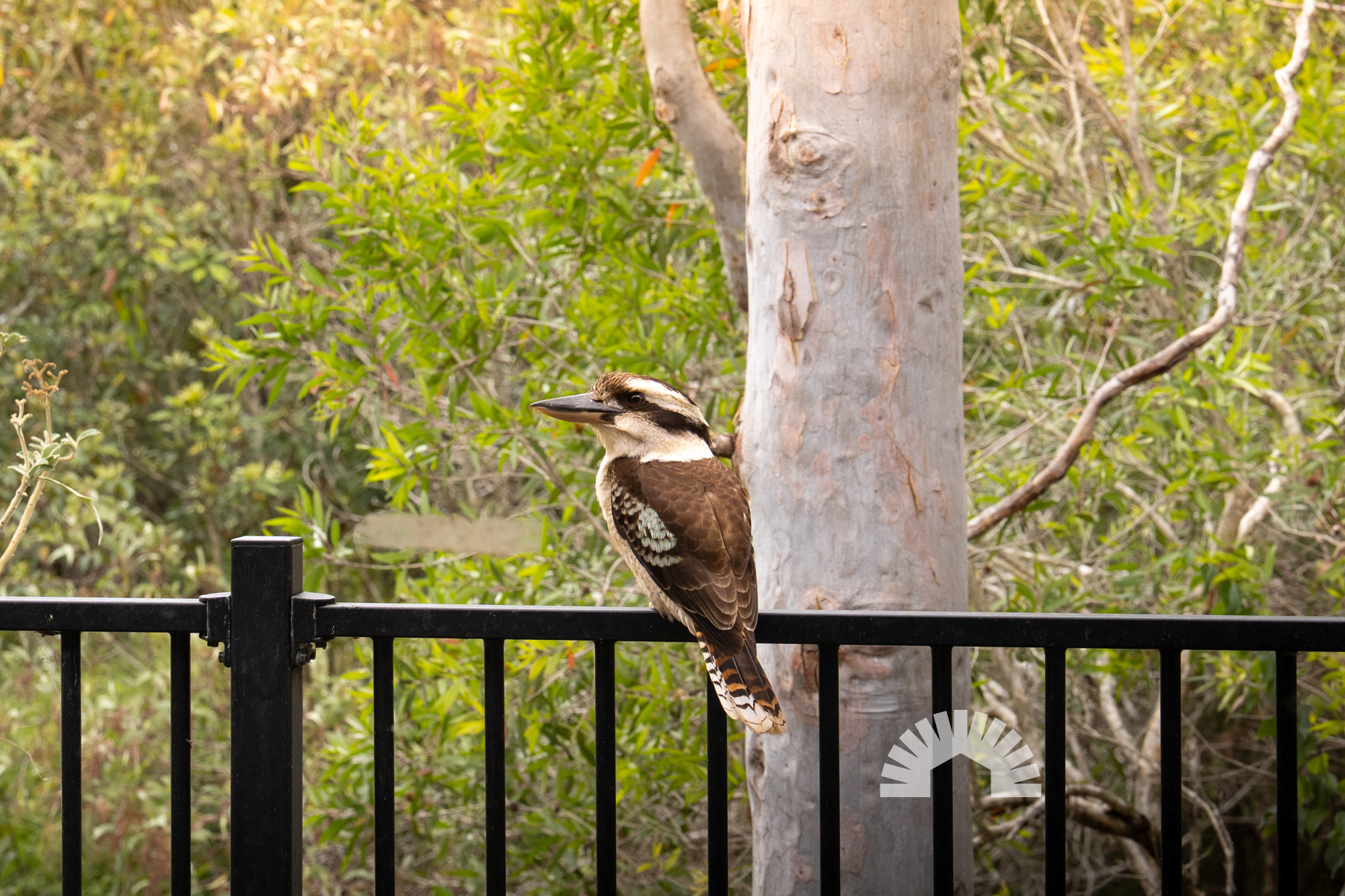 16/28 Amy Street, Morayfield QLD