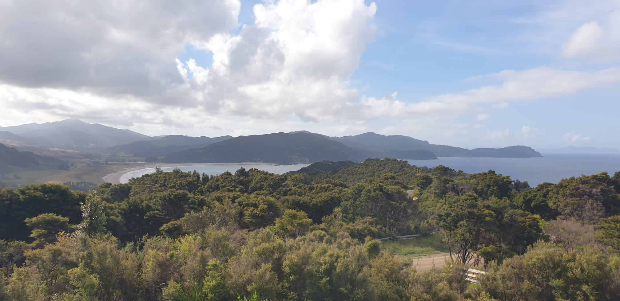 Panoramic Views AND Little Bay Property Search Harcourts Coromandel
