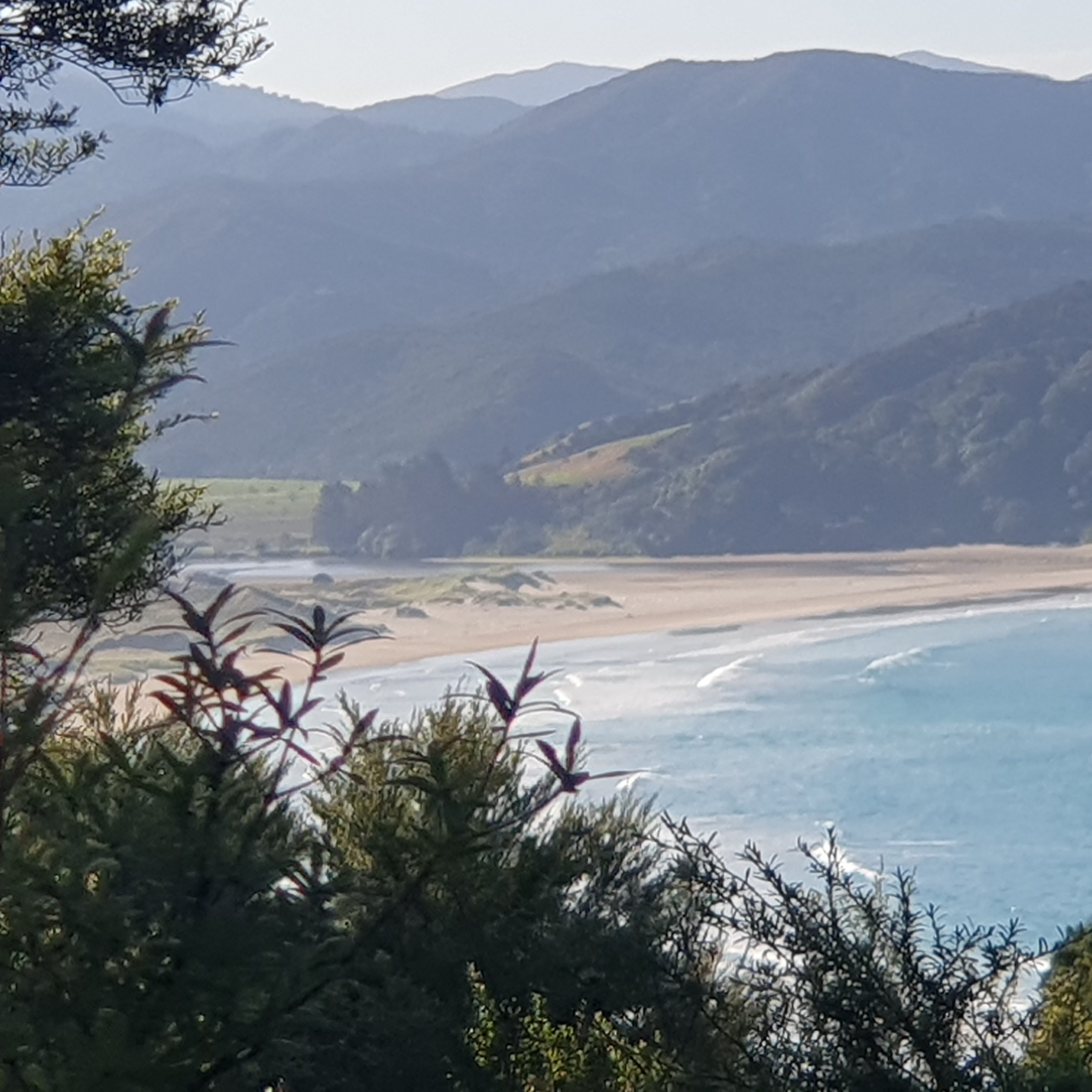 Panoramic Views AND Little Bay Property Search Harcourts Coromandel