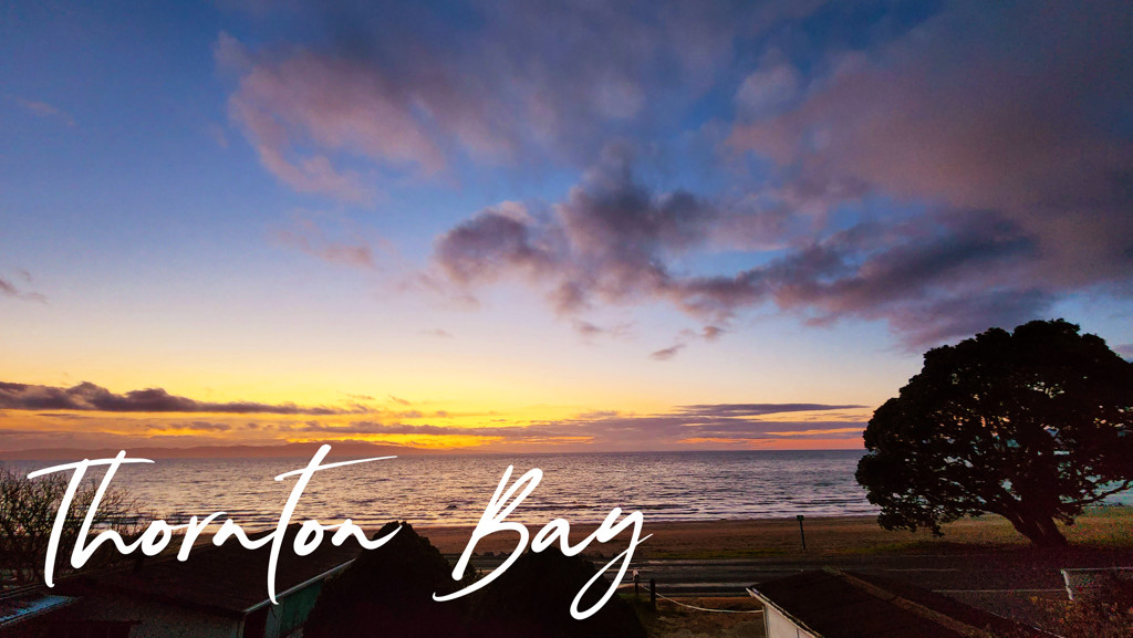 Thames Properties for Sale Harcourts Goldstar