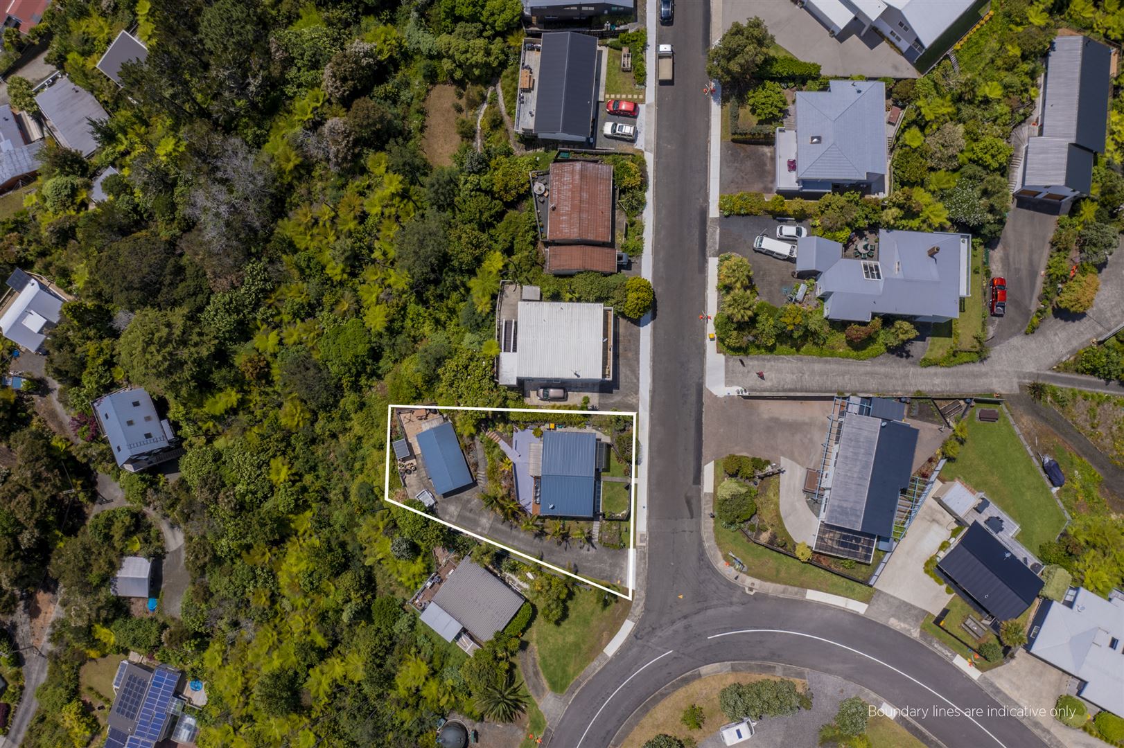 A Richer Life on Ridge Property Search Harcourts Coromandel Beaches