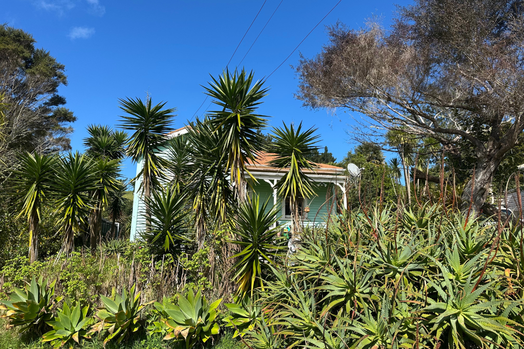 33 Donnellys Station Road, Dargaville
