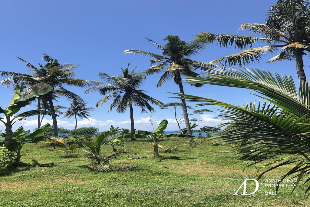 FREEHOLD GOOD DEAL LAND IN KABA KABA 1.94 HA 