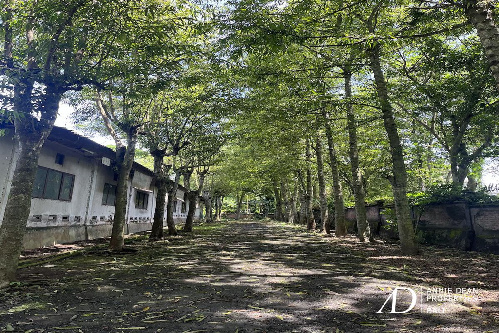 FREEHOLD GOOD DEAL LAND IN KABA KABA 1.94 HA 