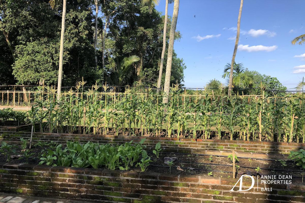 FREEHOLD GOOD DEAL LAND IN KABA KABA 1.94 HA 