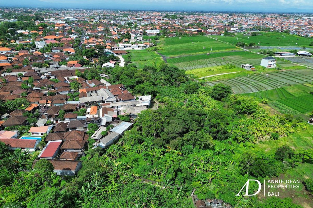FREEHOLD LAND 1,770 M2 IN PADONAN - CANGGU