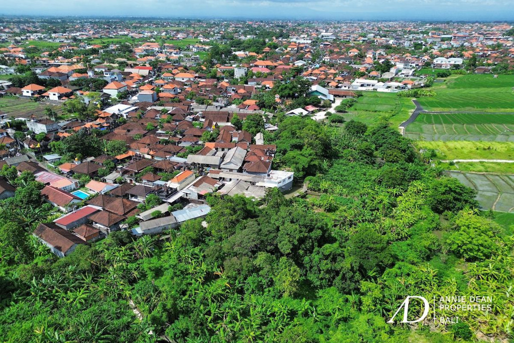 FREEHOLD LAND 1,770 M2 IN PADONAN - CANGGU