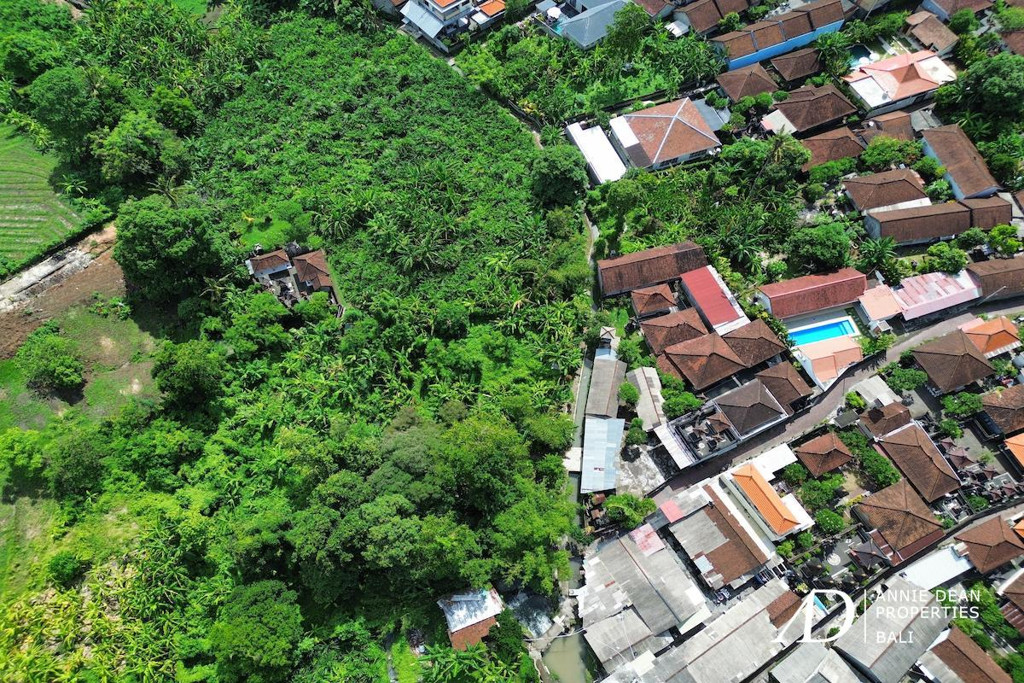 FREEHOLD LAND 1,770 M2 IN PADONAN - CANGGU