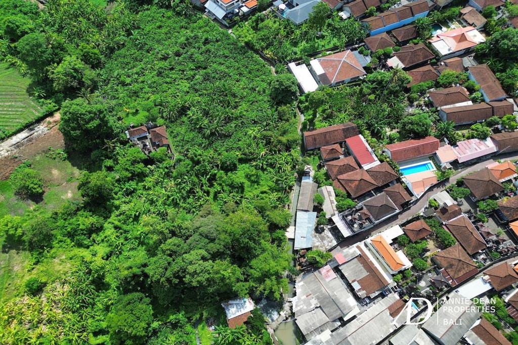 FREEHOLD LAND 1,770 M2 IN PADONAN - CANGGU