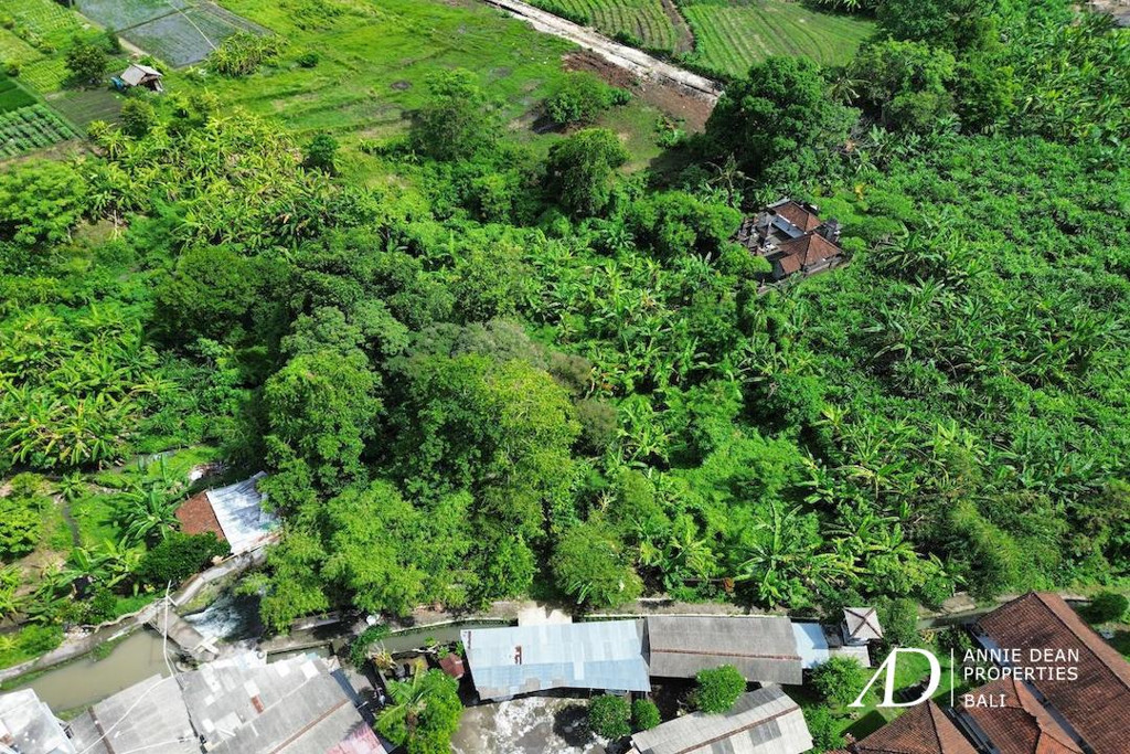 FREEHOLD LAND 1,770 M2 IN PADONAN - CANGGU
