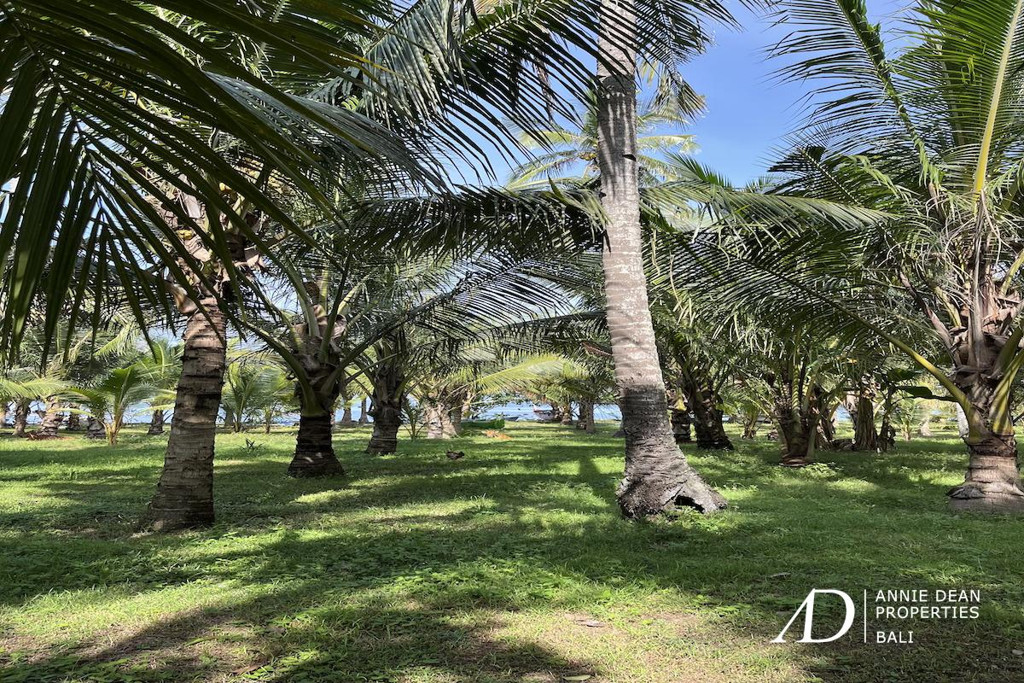 FREEHOLD LAND FOR SALE IN PANTAI MELAYA, JEMBRANA (257 ARE)