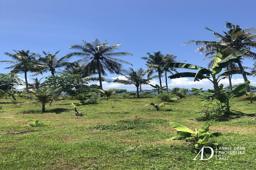 FREEHOLD LAND FOR SALE IN PANTAI MELAYA, JEMBRANA (257 ARE)