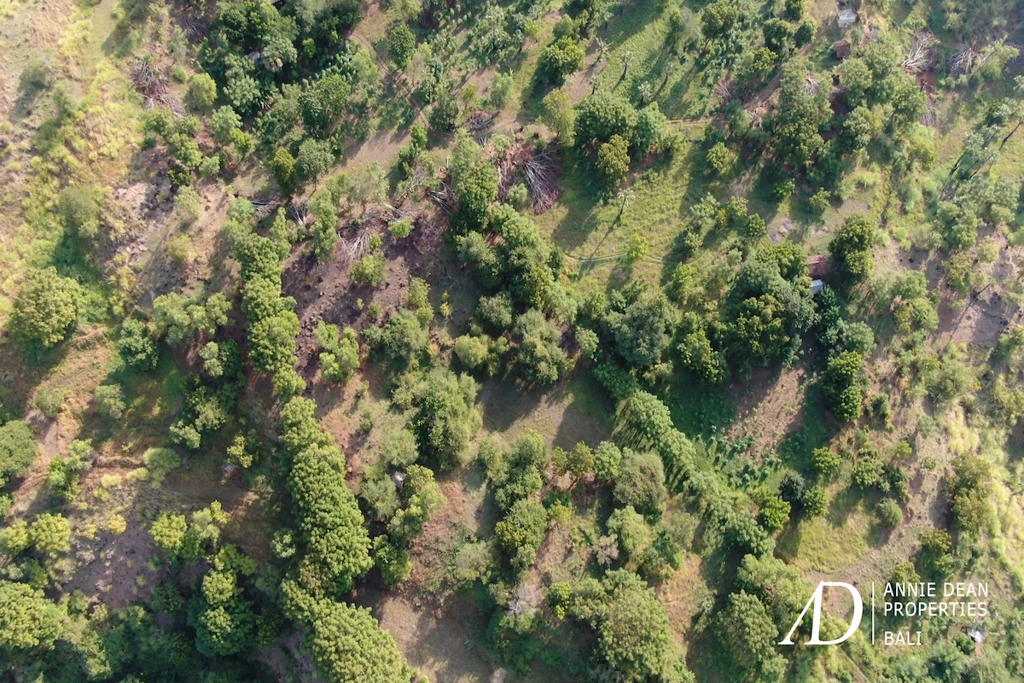 FREEHOLD OCEAN VIEWS LARGE PLOT OF LAND IN TULAMBEN