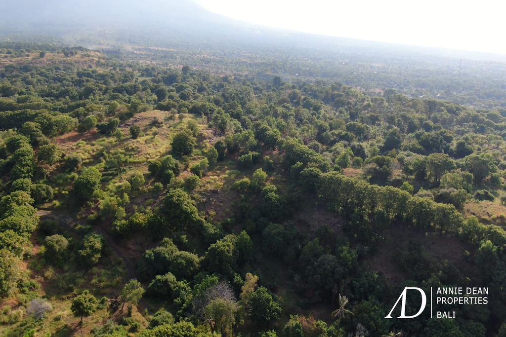 FREEHOLD OCEAN VIEWS LARGE PLOT OF LAND IN TULAMBEN