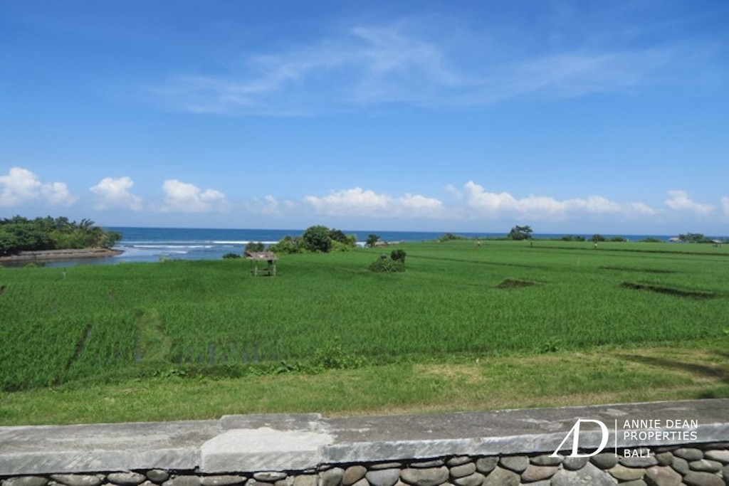 FREEHOLD OCEAN AND RIVER VIEWS LAND IN PULUKAN JEMBRANA 67,9 ARE