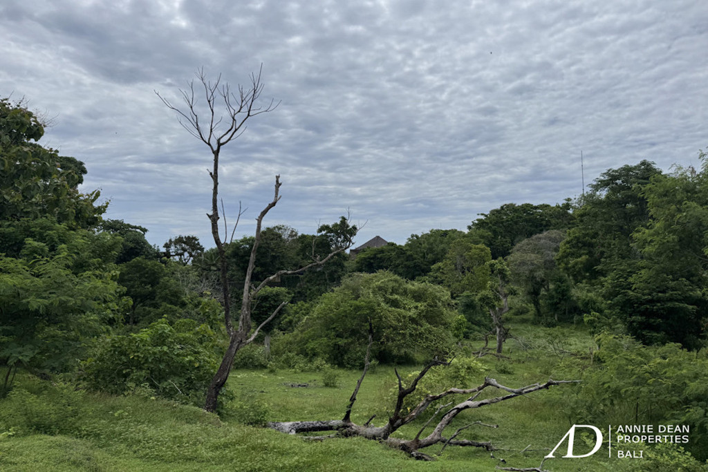 FREEHOLD PRIME LAND IN UNGASAN (6,000 M2) - COMMERCIAL ZONE 