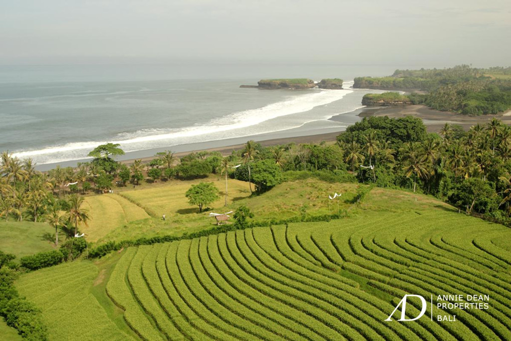  FREEHOLD BEACHFRONT LAND - 60 ARE IN KLECUNG, TABANAN