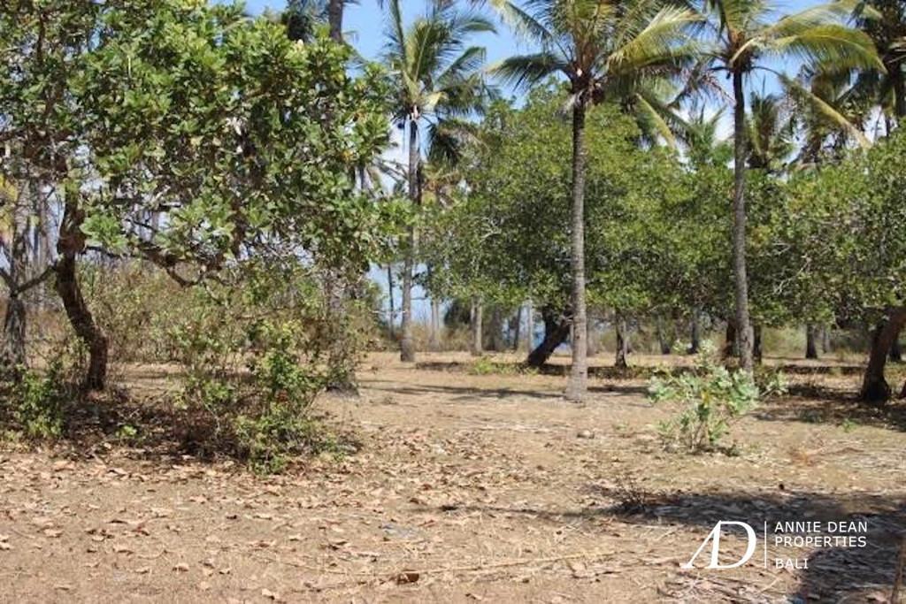 FREEHOLD BEACHFRONT LAND IN PADANGBAI KARANGASEM-CANDI DASA