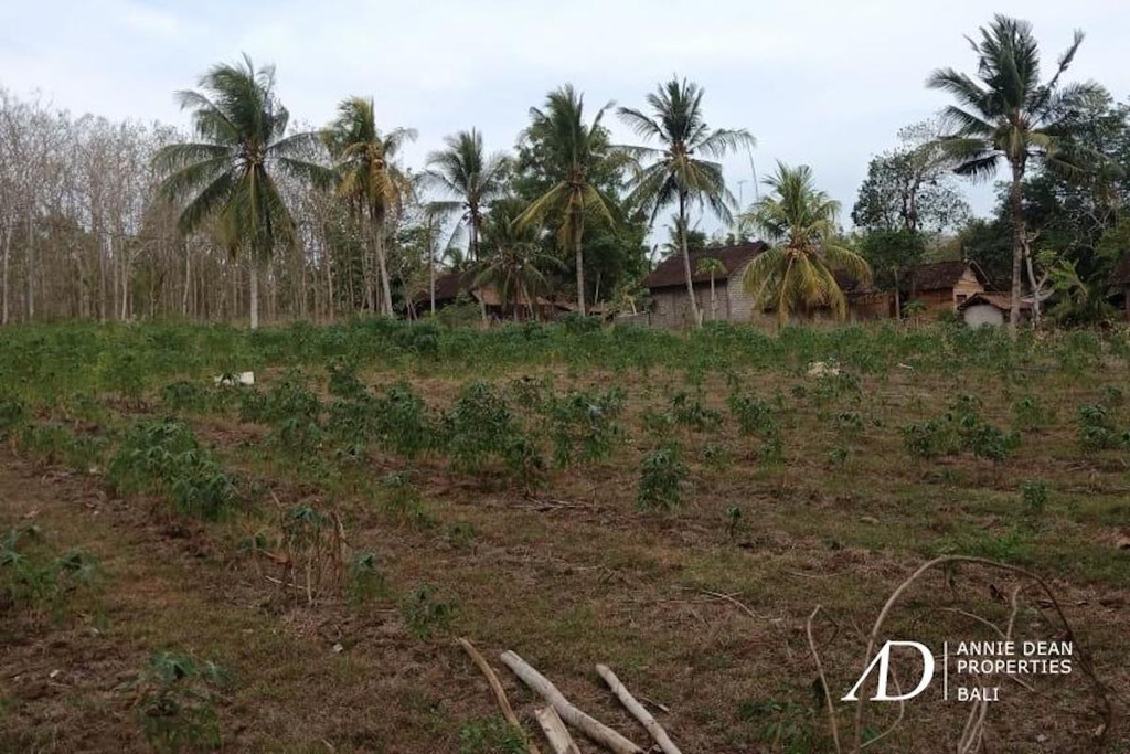 FREEHOLD BEACHFRONT LAND IN MELAYA, JEMBRANA (6,140 M2 )