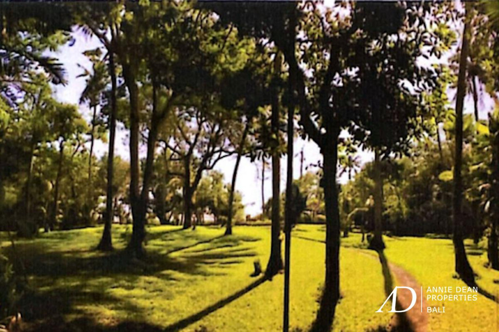 FREEHOLD OCEANFRONT LAND IN BERAWA-CANGGU  (74.12 ARE) 