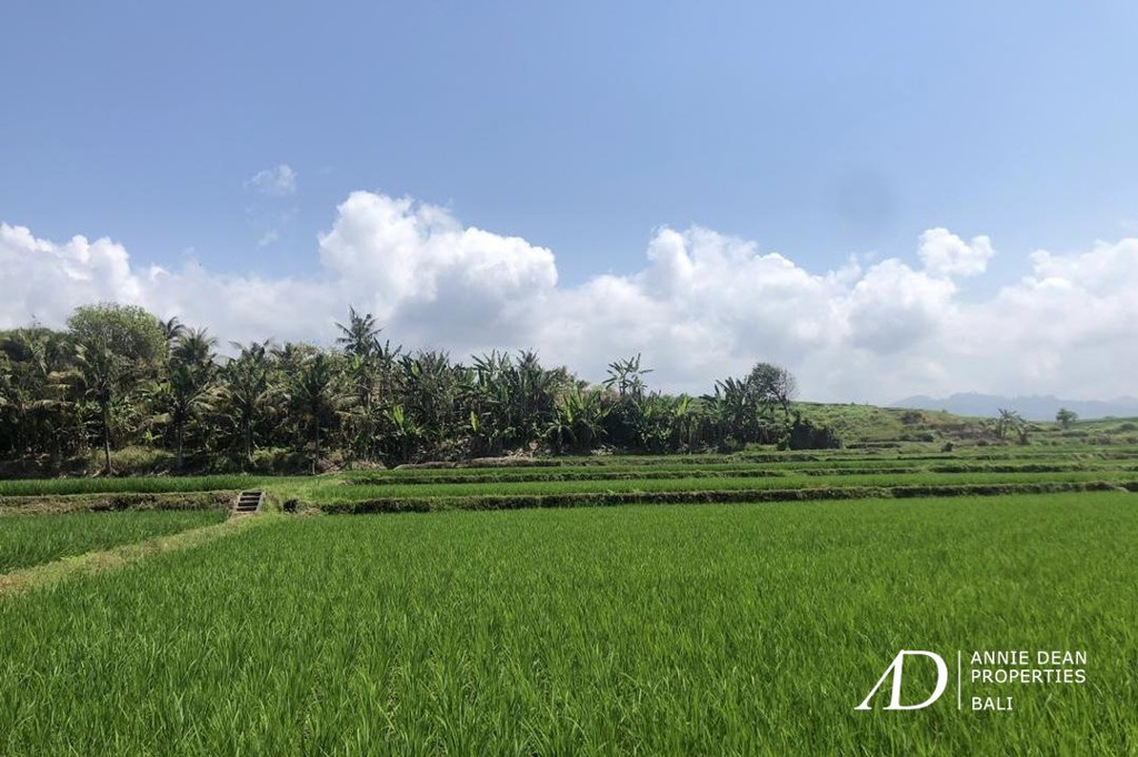 FREEHOLD BEACHFRONT LAND IN PEKUTATAN (3,000 M2) IN TOURISM ZONE