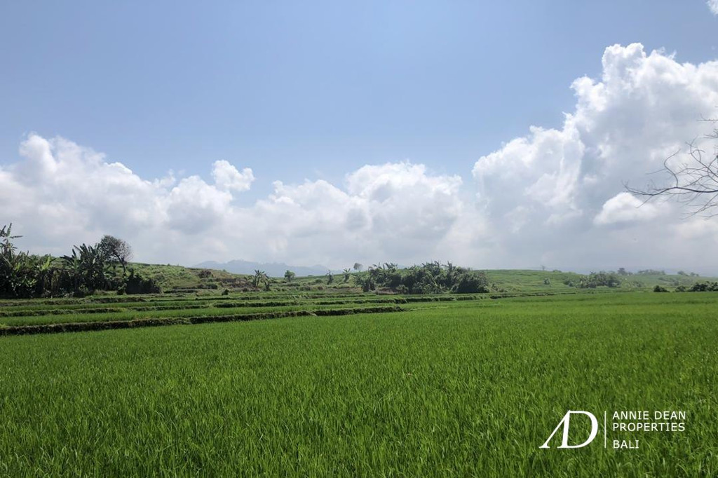 FREEHOLD BEACHFRONT LAND IN PEKUTATAN (3,000 M2) IN TOURISM ZONE