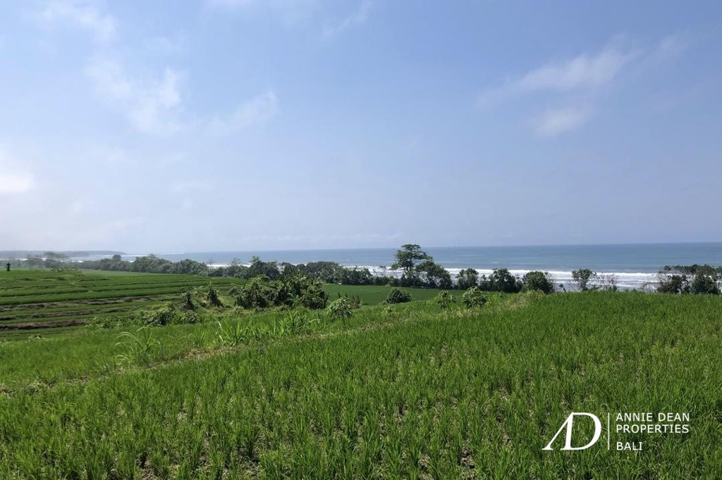 FREEHOLD BEACHFRONT LAND IN PEKUTATAN (3,000 M2) IN TOURISM ZONE