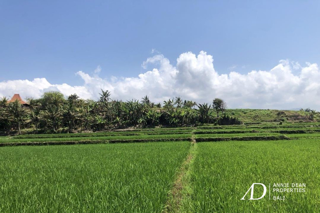 FREEHOLD BEACHFRONT LAND IN PEKUTATAN (3,000 M2) IN TOURISM ZONE