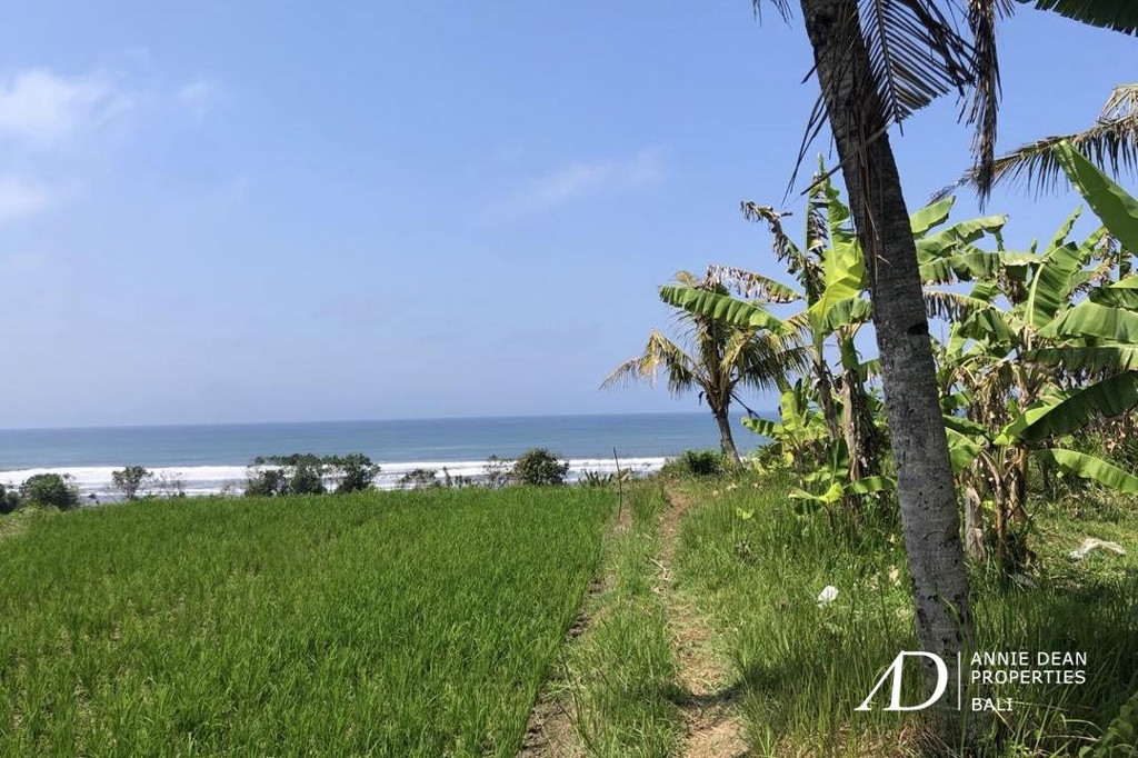 FREEHOLD BEACHFRONT LAND IN PEKUTATAN (3,000 M2) IN TOURISM ZONE