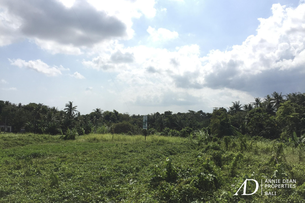 FREEHOLD LAND IN BONGAN, TABANAN ( 5,300 M2) WITH PRIVATE ROAD ACCESS