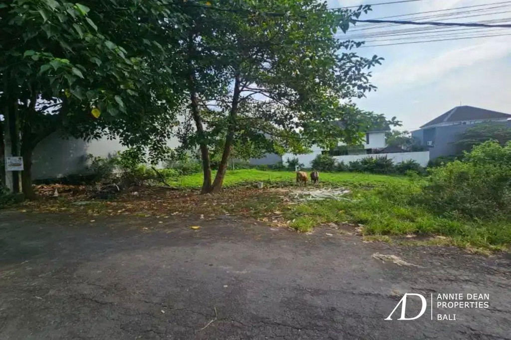 FREEHOLD | RARE SMALL PLOT OF LAND IN PRIME BUMBAK UMALAS