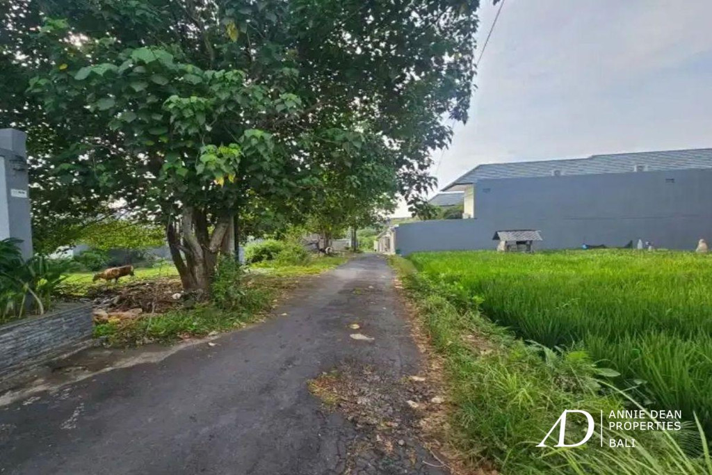 FREEHOLD | RARE SMALL PLOT OF LAND IN PRIME BUMBAK UMALAS