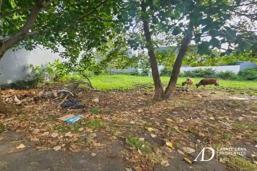 FREEHOLD | RARE SMALL PLOT OF LAND IN PRIME BUMBAK UMALAS