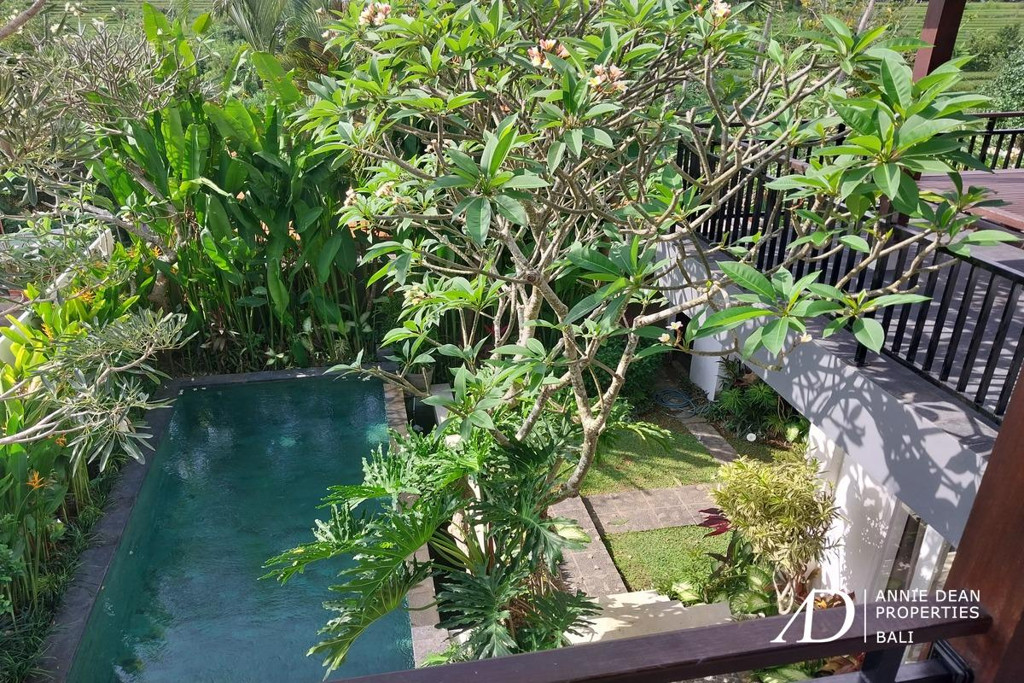 YEARLY/MONTHLY RENTAL | 3-BEDROOM VILLA WITH RICE FIELD VIEWS IN TUMBAKBAYUH.
