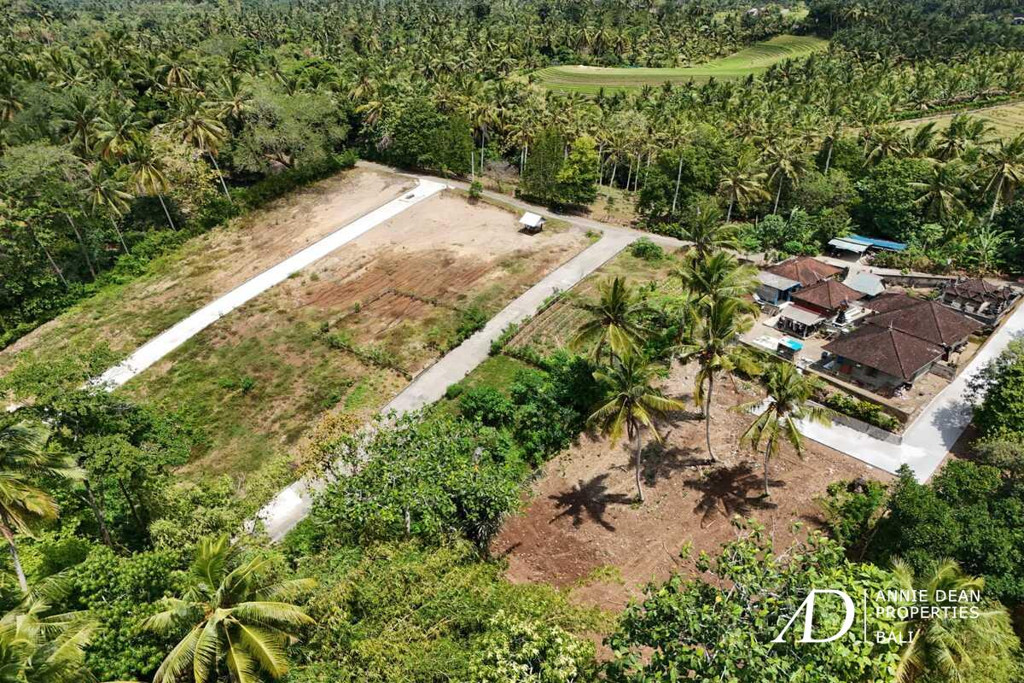 FREEHOLD | KAVLING LAND FOR SALE IN BALIAN 