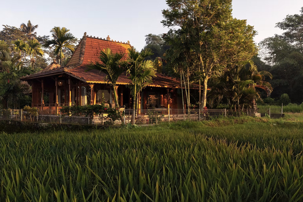 FREEHOLD | COLONIAL-STYLE VILLA WITH JUNGLE AND RICE FIELD VIEWS - UBUD TEGALLALANG