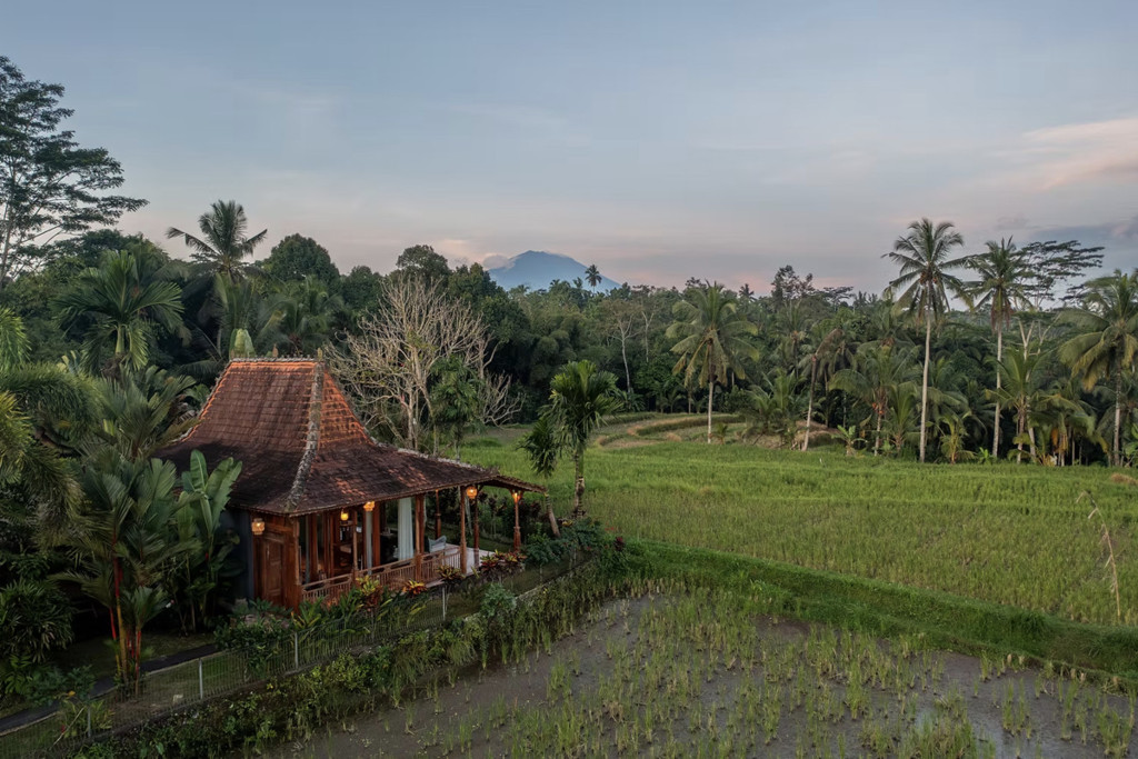 FREEHOLD | COLONIAL-STYLE VILLA WITH JUNGLE AND RICE FIELD VIEWS - UBUD TEGALLALANG