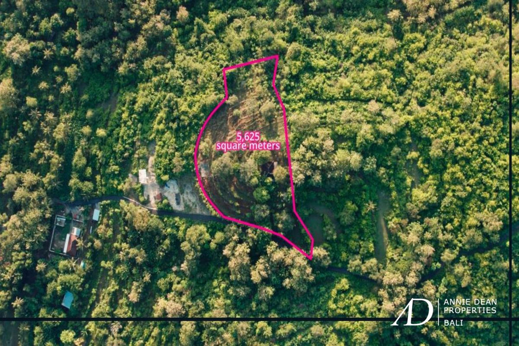 FREEHOLD | LAND INVESTMENT WITH A STUNNING  OCEAN-VIEW IN NUSA PENIDA