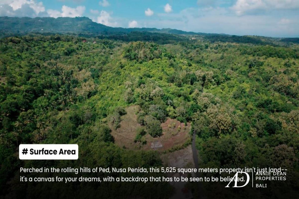 FREEHOLD | LAND INVESTMENT WITH A STUNNING  OCEAN-VIEW IN NUSA PENIDA