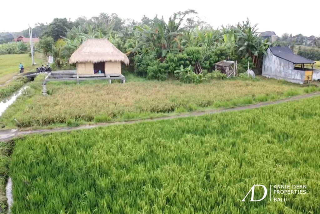 LEASEHOLD | 2 PLOTS OF LAND IN YEH GANGGA, TABANAN