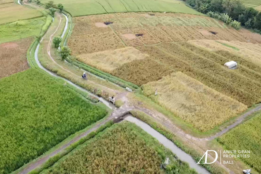 LEASEHOLD | 2 PLOTS OF LAND IN YEH GANGGA, TABANAN