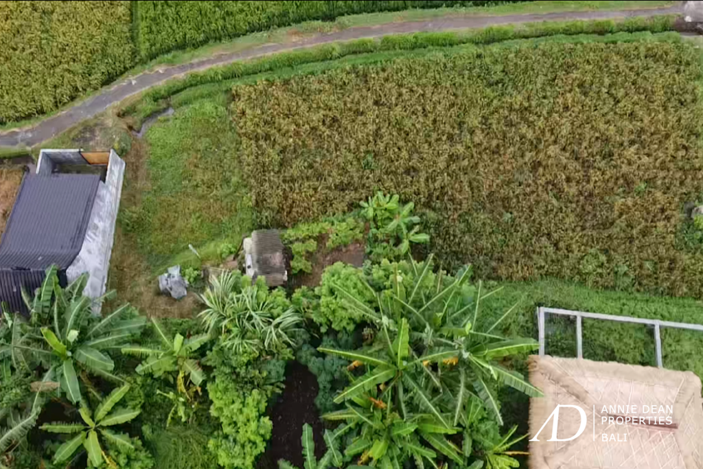 LEASEHOLD | 2 PLOTS OF LAND IN YEH GANGGA, TABANAN