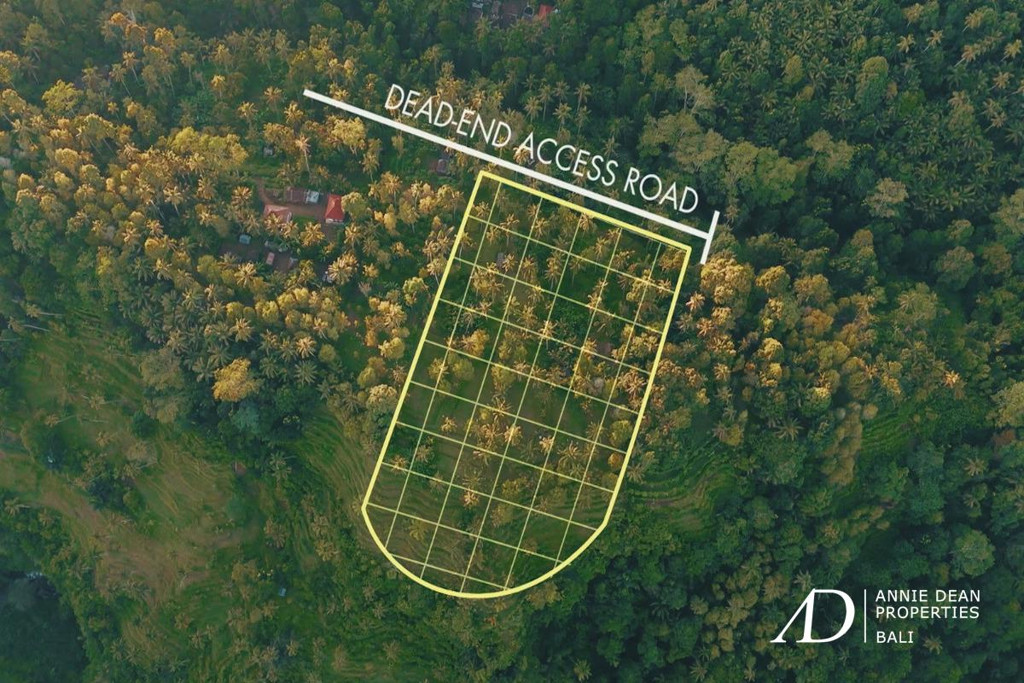 LEASEHOLD | UNIQUE CANYON-EDGE LAND IN SIDEMEN, BALI