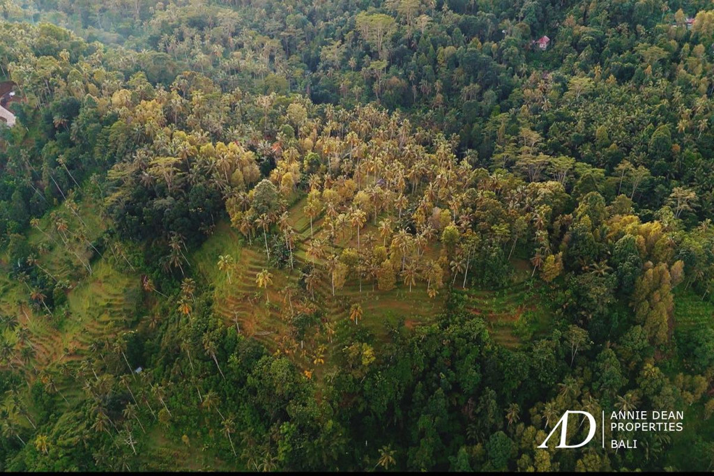 LEASEHOLD | UNIQUE CANYON-EDGE LAND IN SIDEMEN, BALI