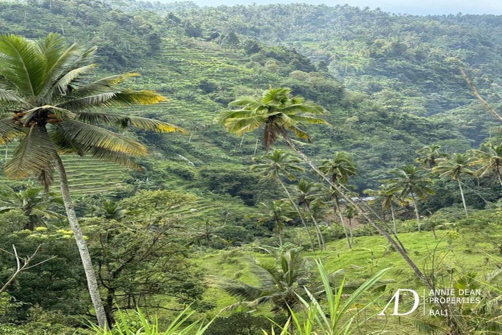 LEASEHOLD | UNIQUE CANYON-EDGE LAND IN SIDEMEN, BALI