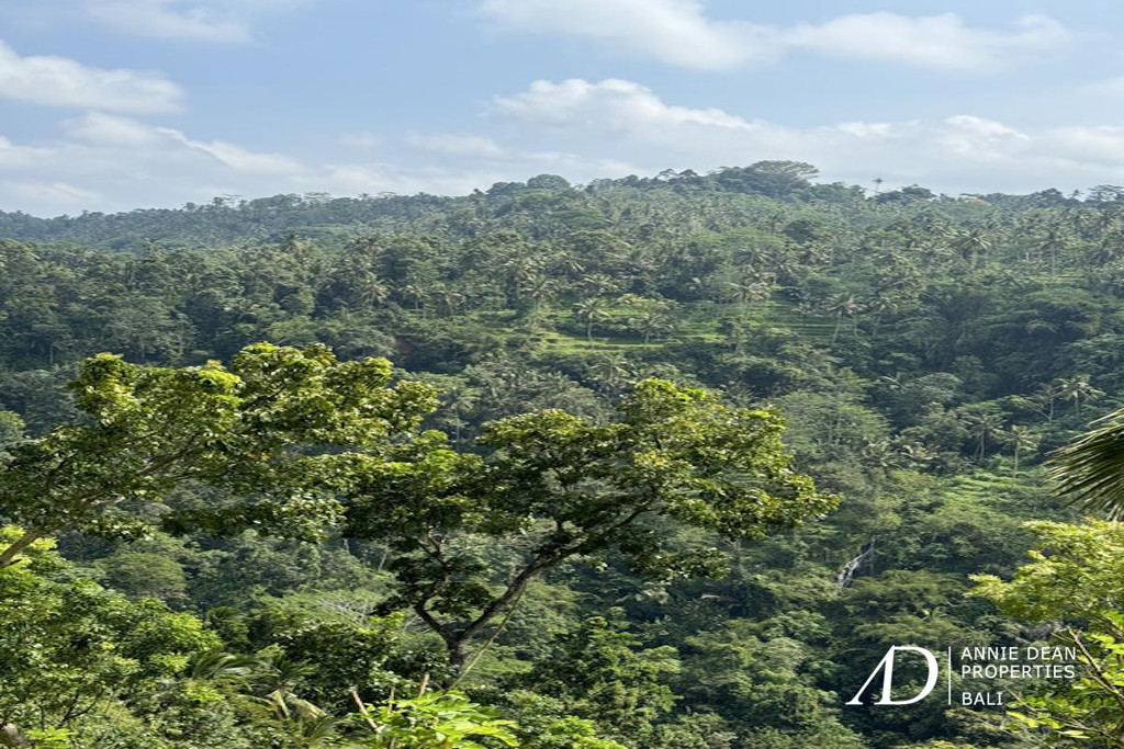 LEASEHOLD | UNIQUE CANYON-EDGE LAND IN SIDEMEN, BALI