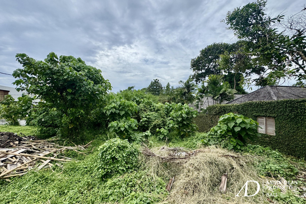 LEASEHOLD | LAND IN TIYING TUTUL, CANGGU