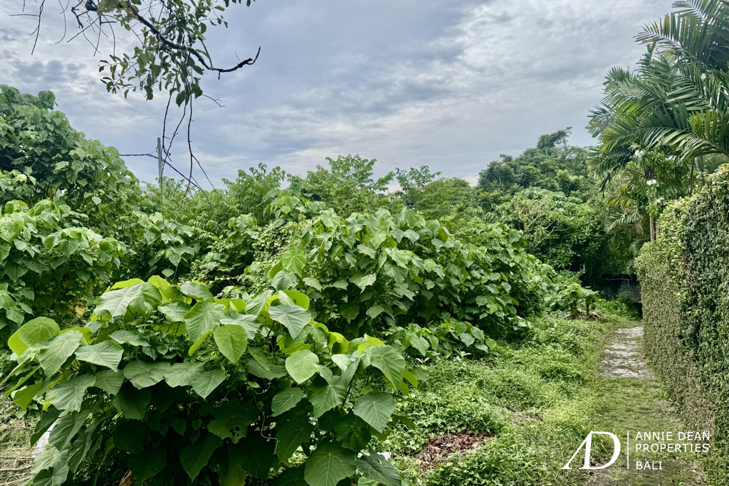 LEASEHOLD | LAND IN TIYING TUTUL, CANGGU