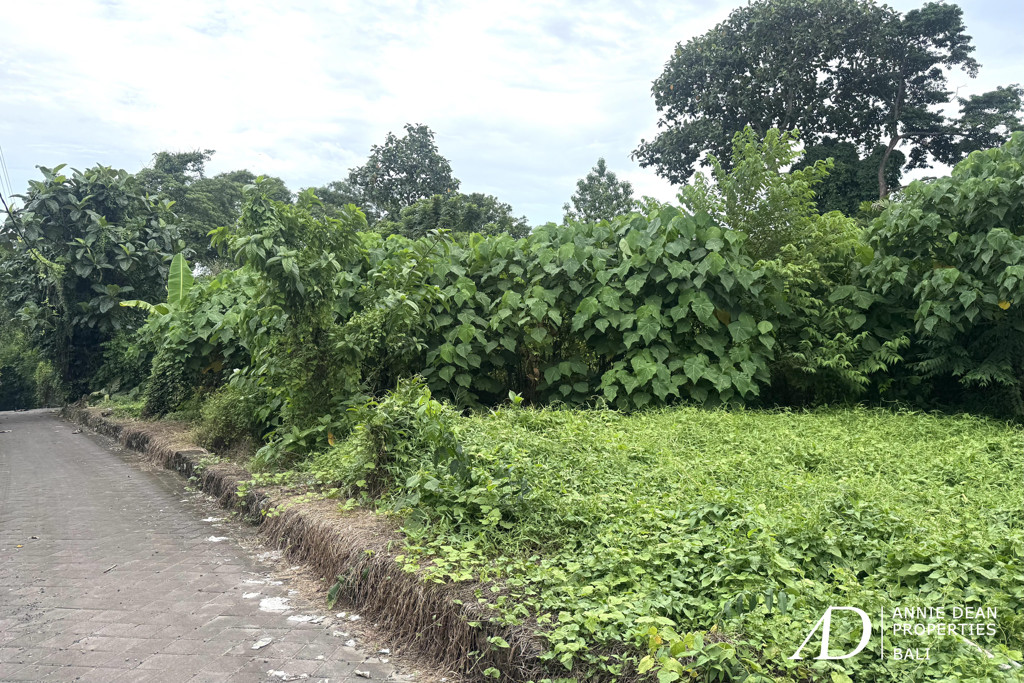 LEASEHOLD | LAND IN TIYING TUTUL, CANGGU